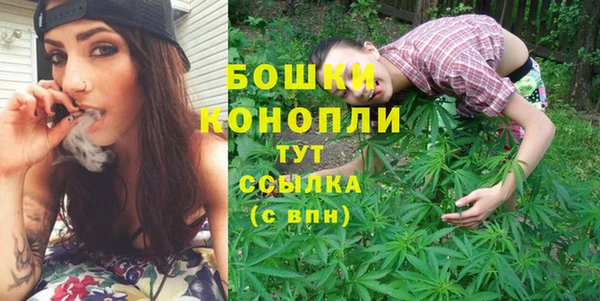 PSILOCYBIN Беломорск