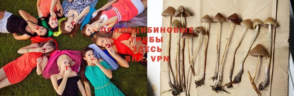 метамфетамин Белокуриха