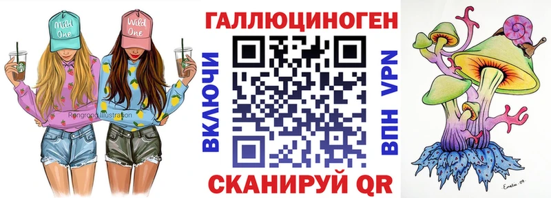 Купить  Кириши  Галлюциногенные грибы Cubensis 